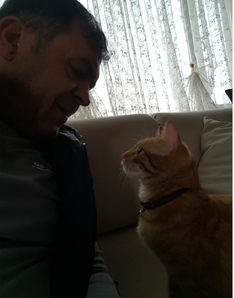 İsmail-Kedi